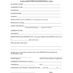 Small Claims Court Texas Fill Out Sign Online DocHub