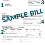 Snohomish Property Tax Payment Mario Head