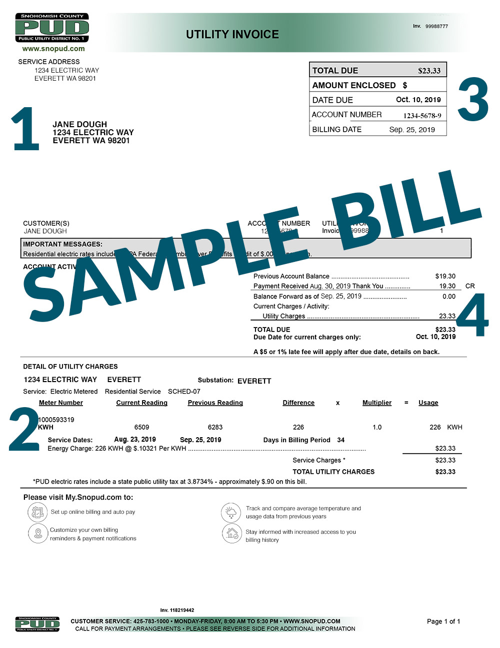 Snohomish Property Tax Payment Mario Head