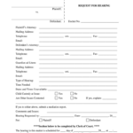 STATE Of SOUTH CAROLINA In The COURT Of COMMON PLEAS Form Fill Out