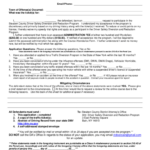 Steuben County Traffic Diversion Program Form Fill Out And Sign