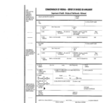 Virginia Annulment Forms Fill Out Sign Online DocHub