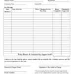 Volunteer Service Documentation Form Fill Out Sign Online DocHub