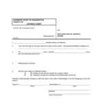 Washington Declaration Service Form Fill Out And Sign Printable PDF